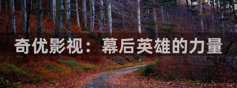 泡泡影视影视：奇优影视：幕后英雄的力量