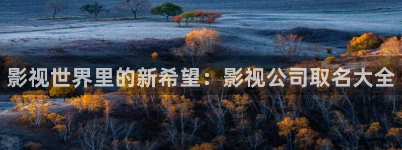 泡泡影视手机大全：影视世界里的新希望：影视公司取名大全