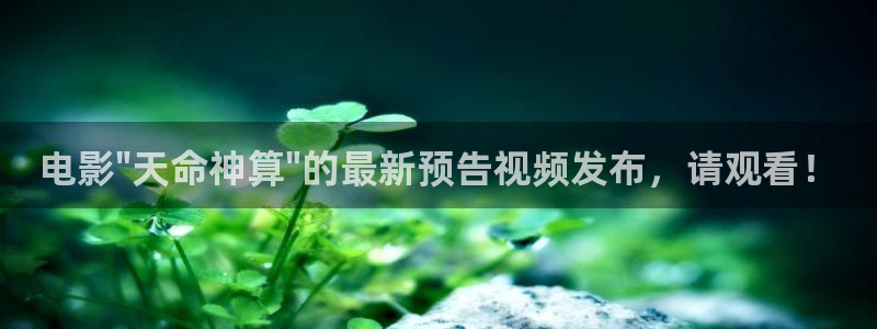 泡泡影视全网免费在线观看：电影\