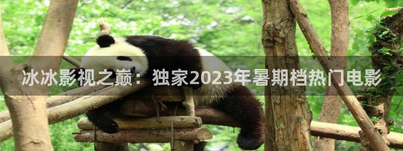 电影天堂泡泡：冰冰影视之巅：独家2023年暑期档热门电影