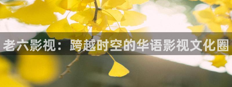 猪泡泡电影：老六影视：跨越时空的华语影视文化圈