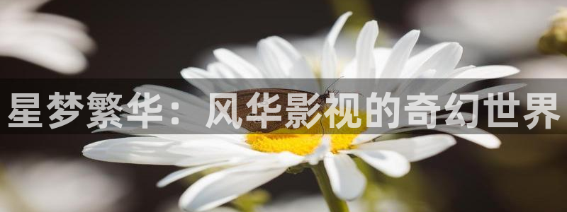 泡泡影音：星梦繁华：风华影视的奇幻世界