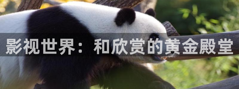 泡泡影视天堂网：影视世界：和欣赏的黄金殿堂