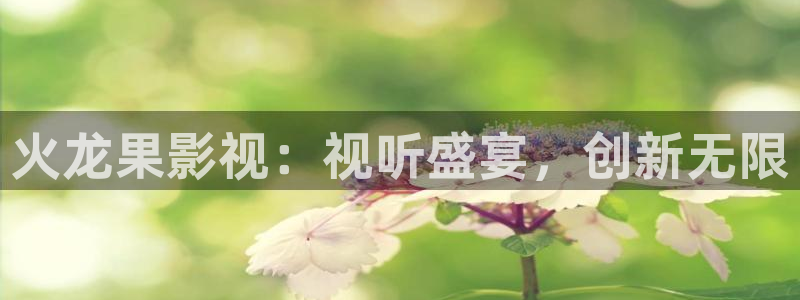 泡泡影视 伦理：火龙果影视：视听盛宴，创新无限