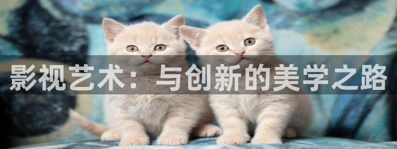 泡泡影视手机大全：影视艺术：与创新的美学之路