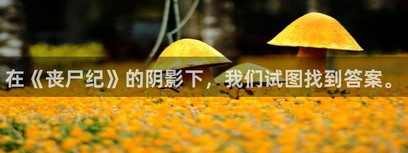 泡泡影视午夜：在《丧尸纪》的阴影下，我们试图找到答案。