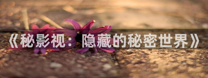 泡泡电影手机天堂：《秘影视：隐藏的秘密世界》